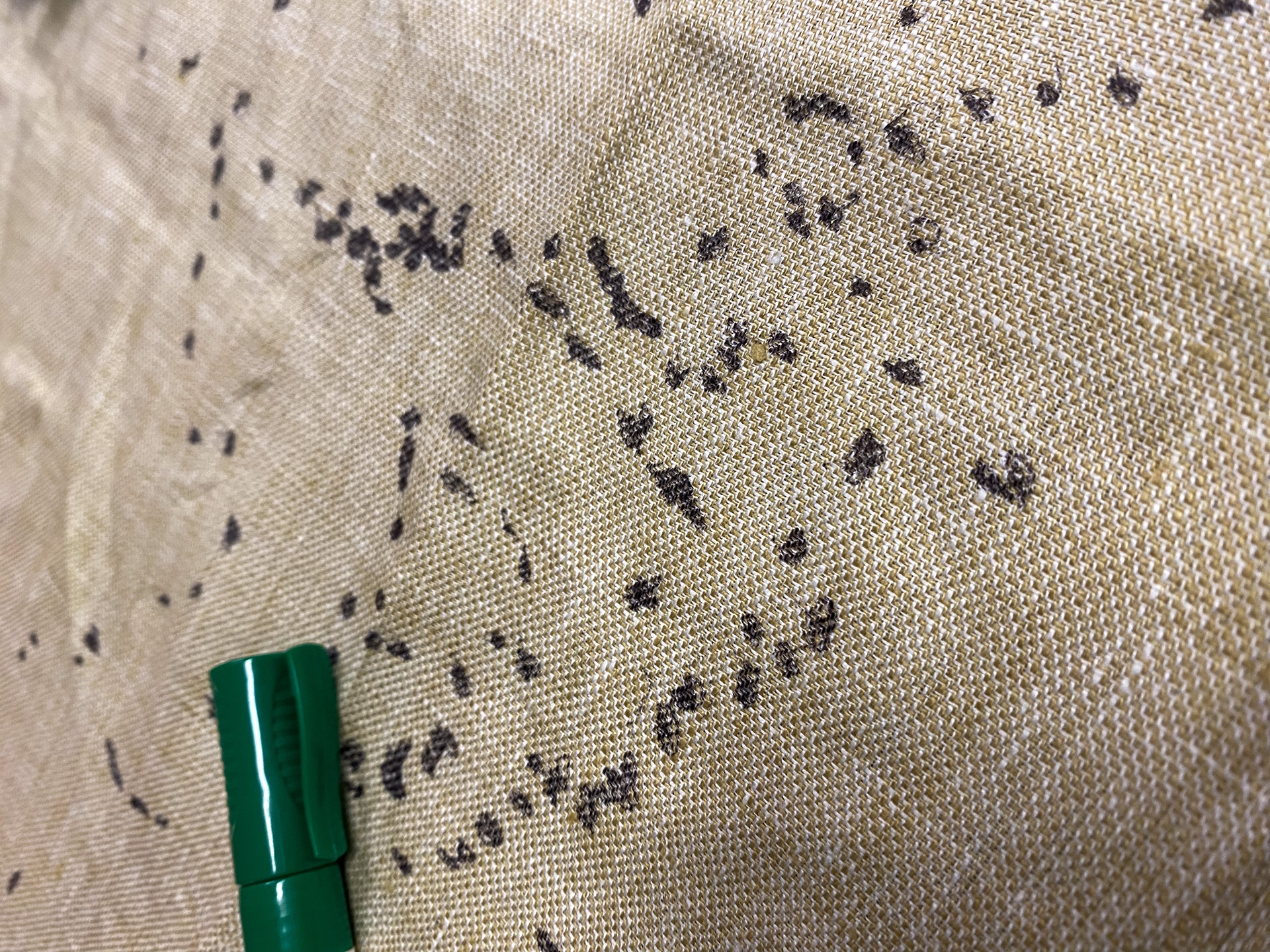 This photo shows a close up of a linen fabric that someone has painted black dots on top of. These dots form clusters, but it’s difficult to name any definite shape they form. The cap of a green pen enters the image from below. This photo was taken during a workshop in which participants later connected the dots, which represent internet landing stations, with pens and yarn.